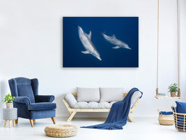 canvas-print-bottlenose-dolphins