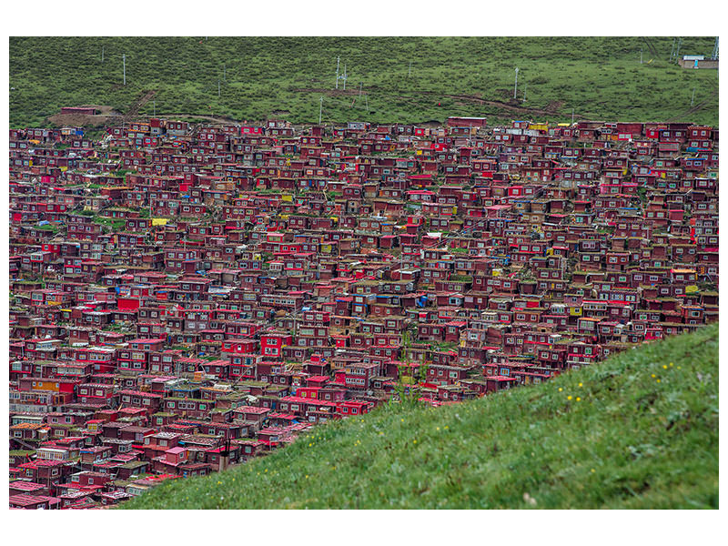 canvas-print-buddhist-institute