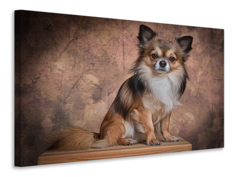 canvas-print-chihuahua-portrait