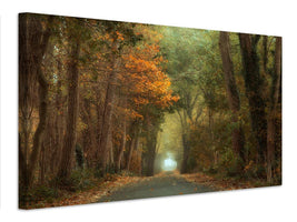 canvas-print-country-road-x