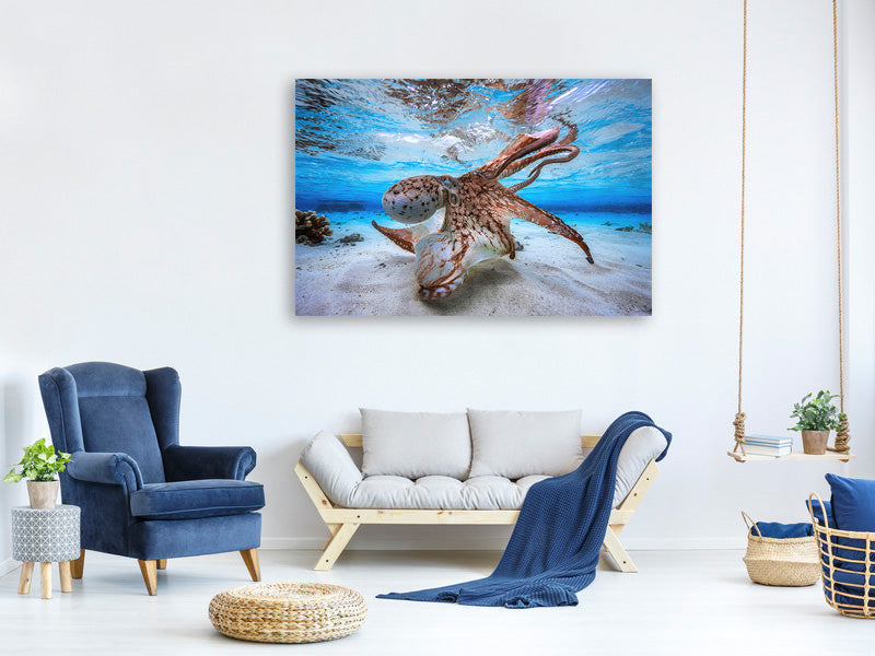 canvas-print-dancing-octopus