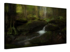 canvas-print-deep-in-the-forest-x