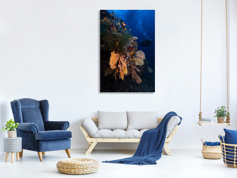 canvas-print-diving