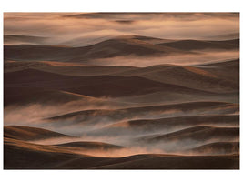 canvas-print-early-spring-morning-at-palouse-x