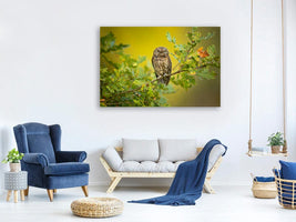 canvas-print-eurasian-scops-owl-x