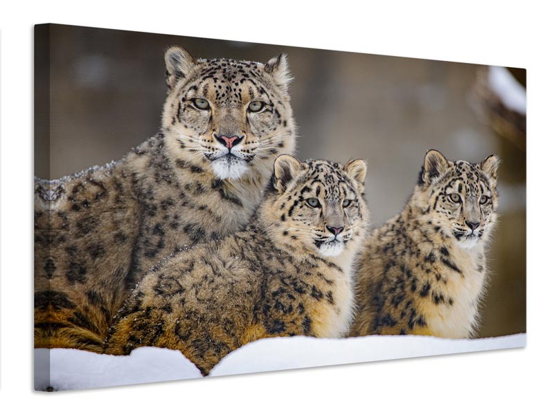 canvas-print-family-xuu