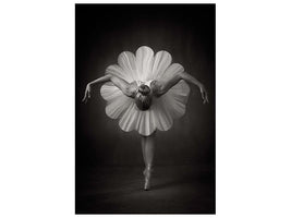 canvas-print-floral-ballet-x