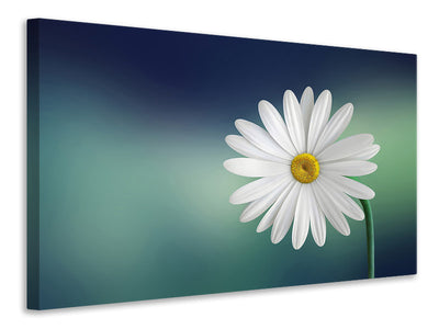 canvas-print-flower
