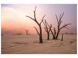 canvas-print-fog-in-deadvlei