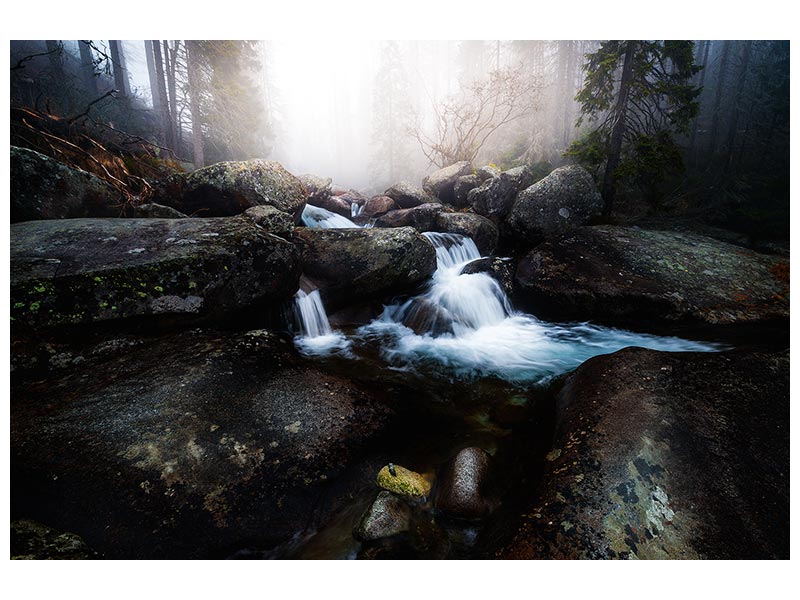 canvas-print-forest-stream-high-tatras-x