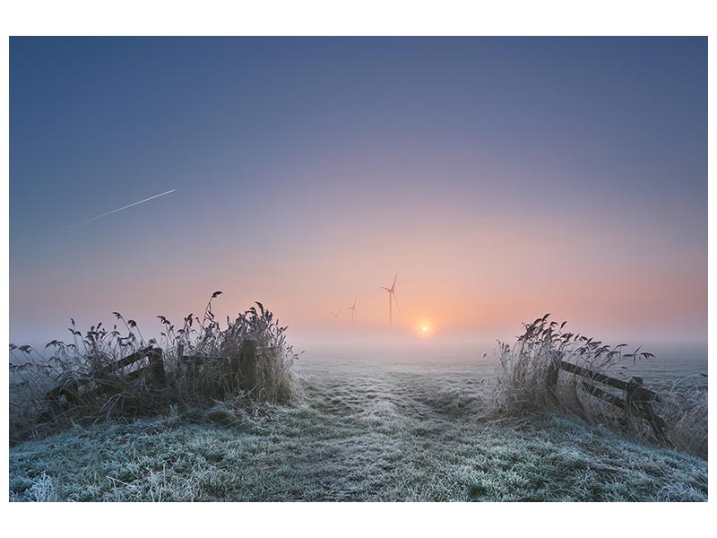 canvas-print-frosty-morning-xaa