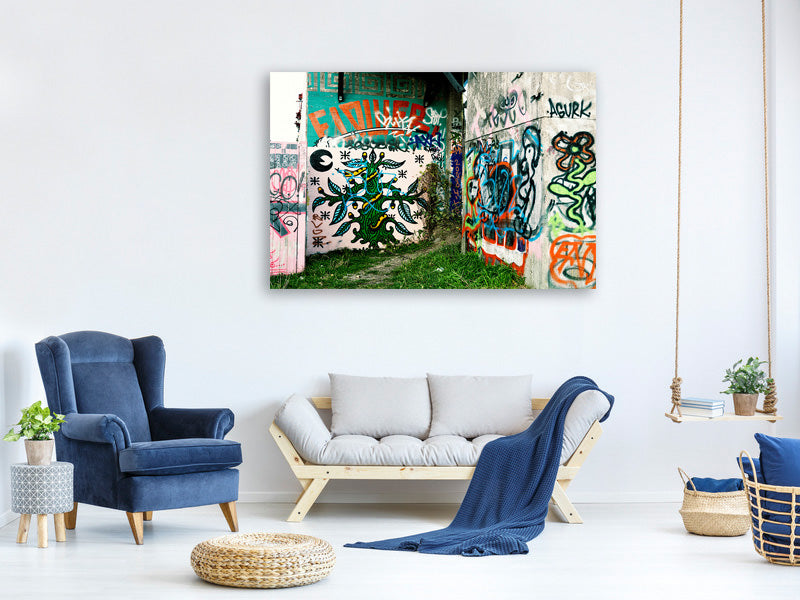 canvas-print-graffiti-in-the-backyard