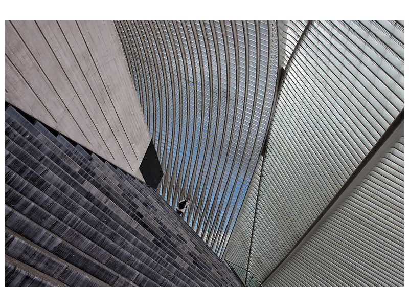 canvas-print-guillemins