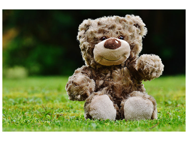 canvas-print-happy-teddy-bear