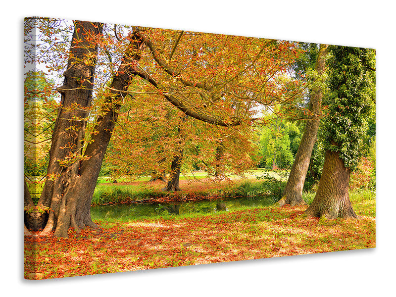 canvas-print-in-the-middle-of-autumn-trees