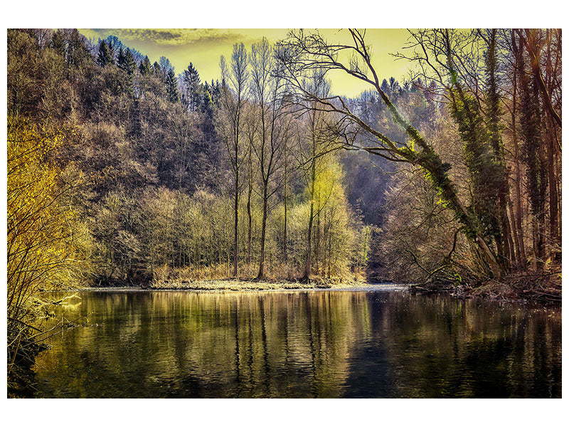 canvas-print-lake-in-the-forest