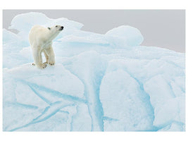 canvas-print-polar-bear-on-iceberg-x