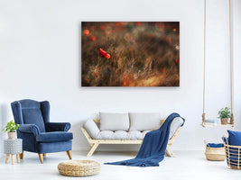 canvas-print-poppy-x