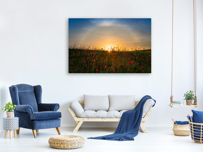 canvas-print-red-poppies-and-sunrise