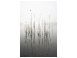 canvas-print-silence