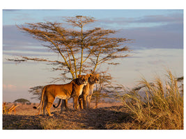 canvas-print-sisters