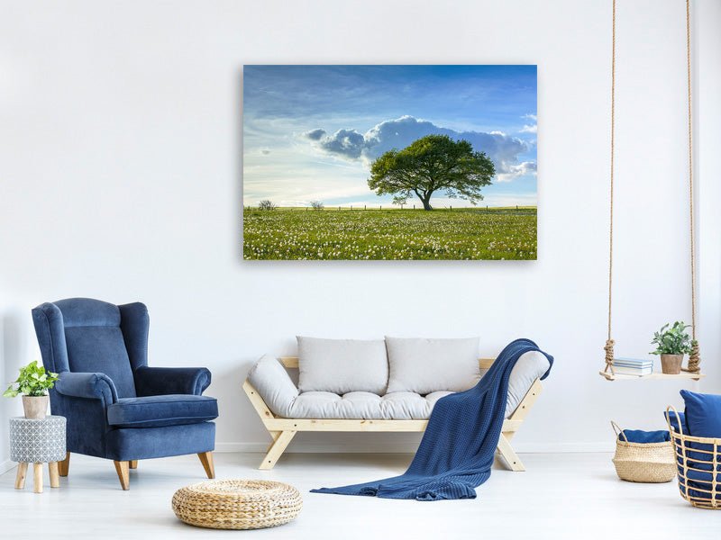 canvas-print-spring-tree