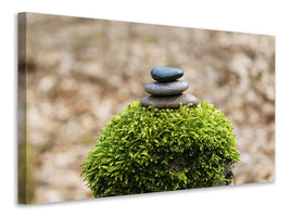 canvas-print-stone-pile-on-plant