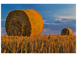 canvas-print-straw-bales