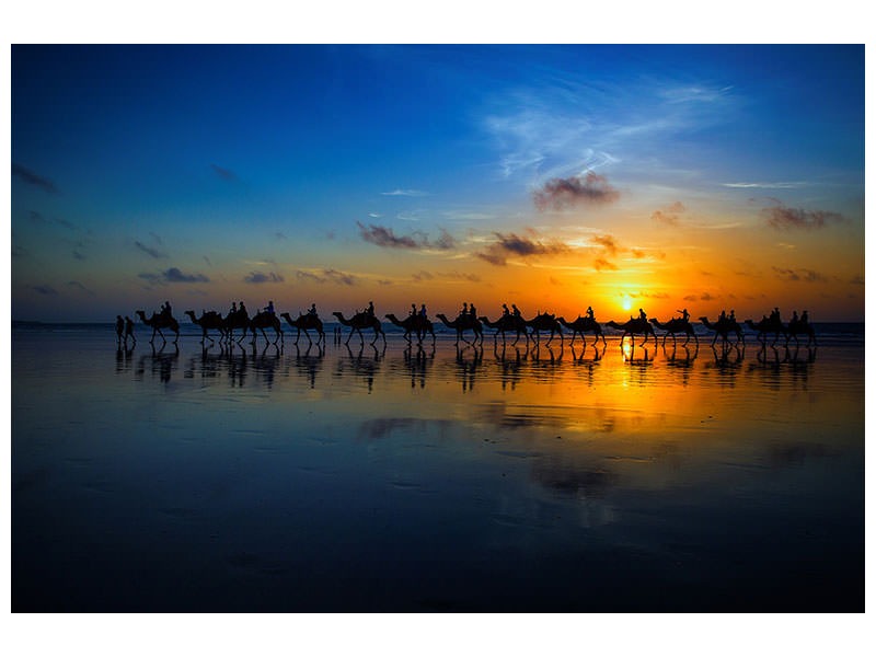 canvas-print-sunset-camel-ride