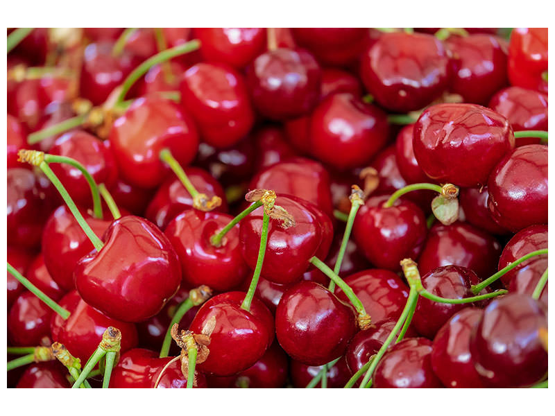 canvas-print-sweet-cherries