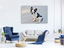 canvas-print-sweet-french-bulldog