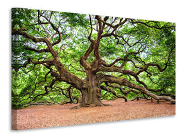 canvas-print-the-oak