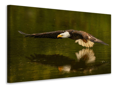 canvas-print-the-reflective-pond