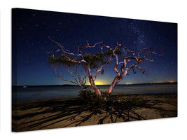 canvas-print-the-tree-x