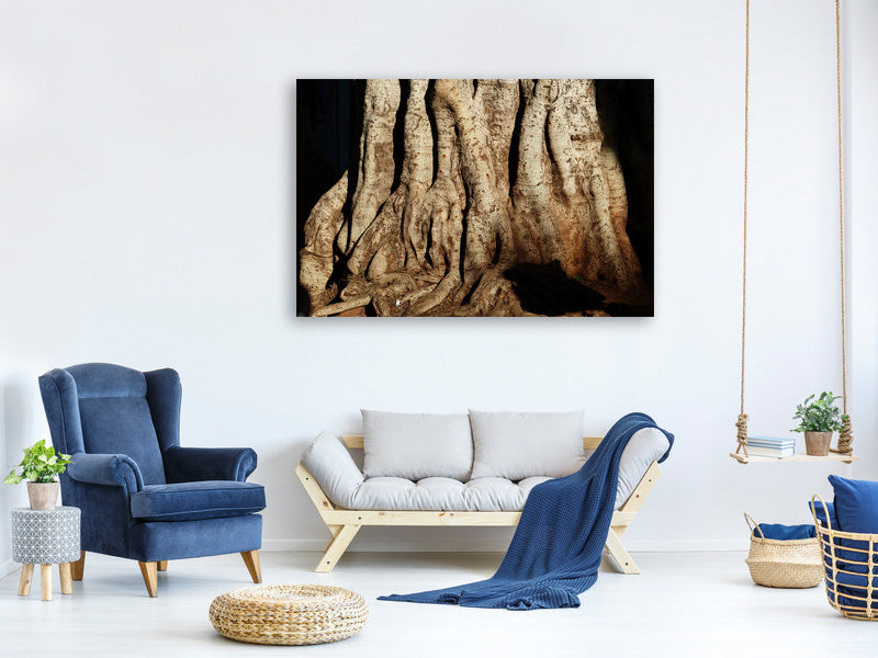 canvas-print-tree-close-up