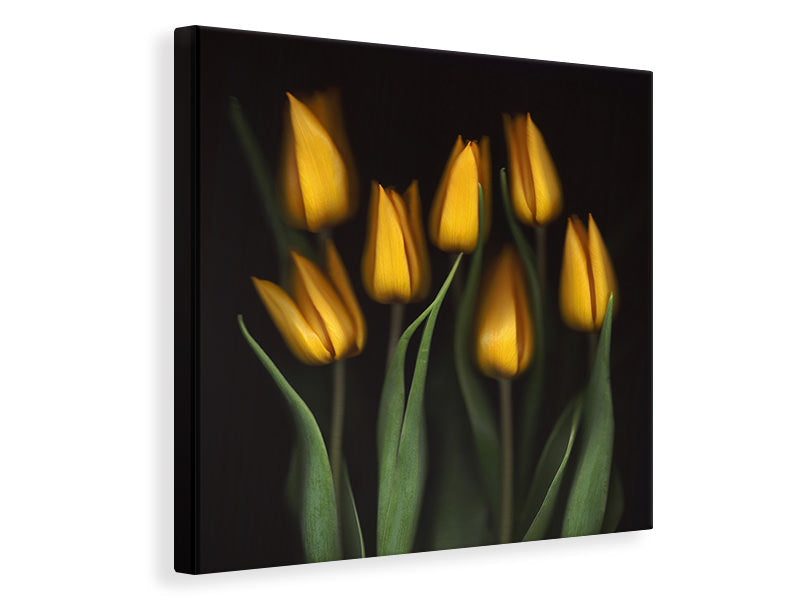 canvas-print-tulips-ii