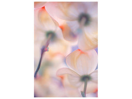 canvas-print-under-the-skirts-of-flowers