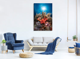 canvas-print-underwater-life