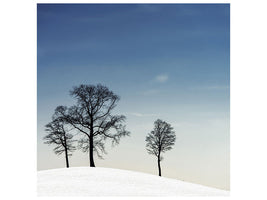 canvas-print-winter-haiku