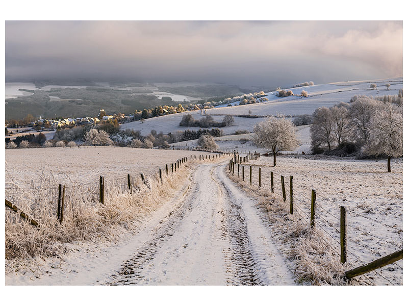 canvas-print-winter-wonderland