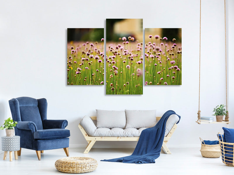 modern-3-piece-canvas-print-a-meadow-full-of-flowers