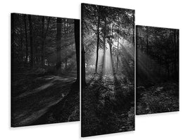 modern-3-piece-canvas-print-a-sunny-morning