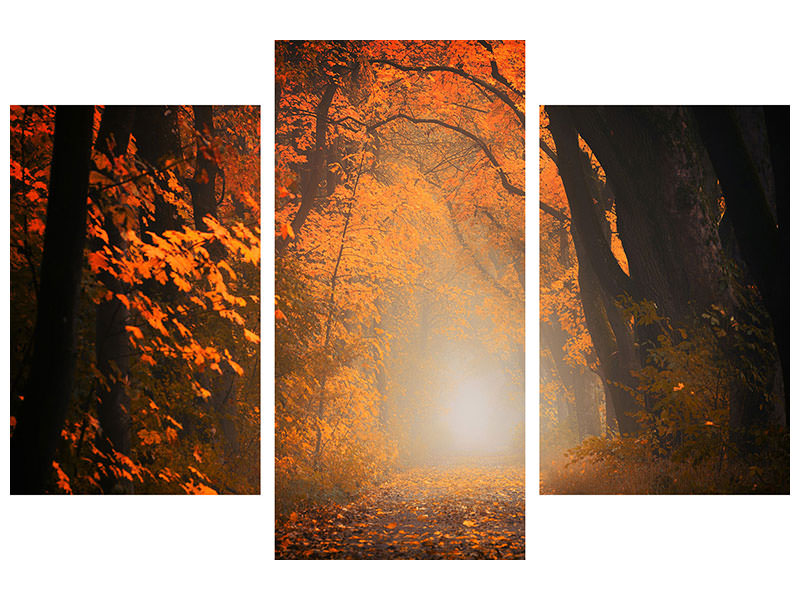 modern-3-piece-canvas-print-autumn-light-in-the-forest