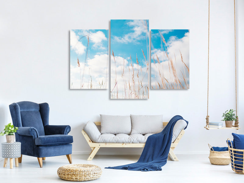 modern-3-piece-canvas-print-blades-of-grass-in-the-sky