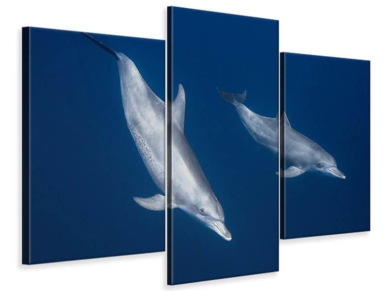 modern-3-piece-canvas-print-bottlenose-dolphins