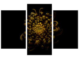 modern-3-piece-canvas-print-chrysanthemum