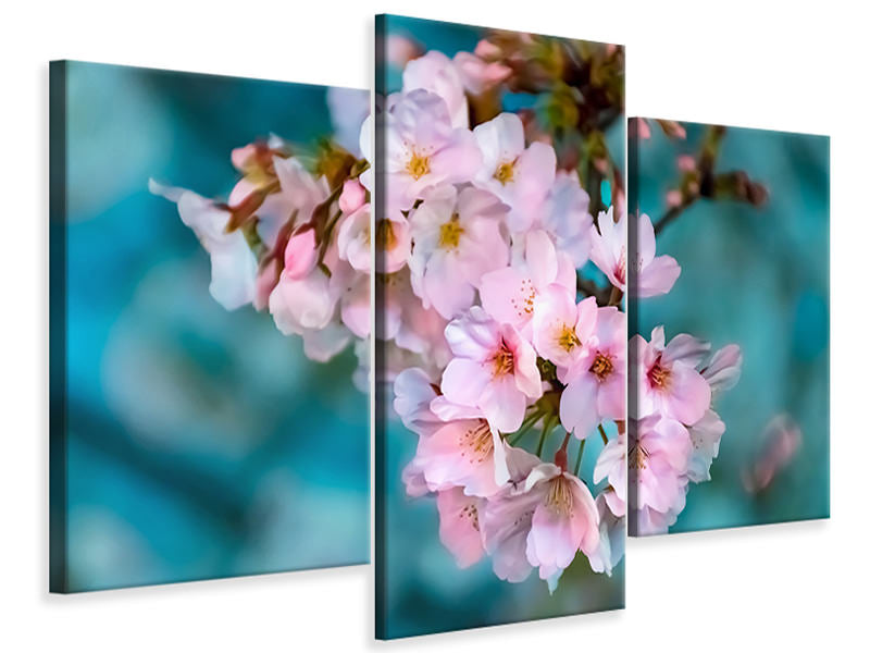 modern-3-piece-canvas-print-close-up-flower