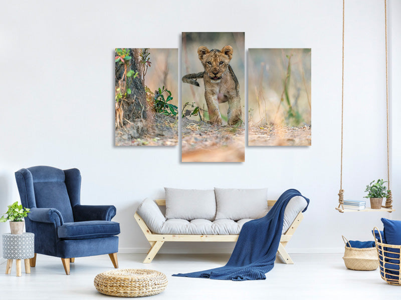 modern-3-piece-canvas-print-cub-south-luangwa