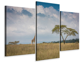 modern-3-piece-canvas-print-east-africa