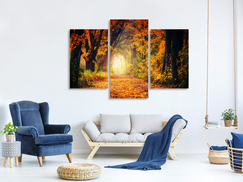 modern-3-piece-canvas-print-forest-walk